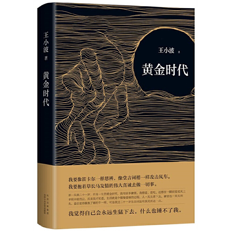 【当当网 正版书籍】黄金时代2021版 王小波成名代表作 当代文学经典 罗翔肖战朱一龙麦家李诞都在读黄金时代王小波 - 图3