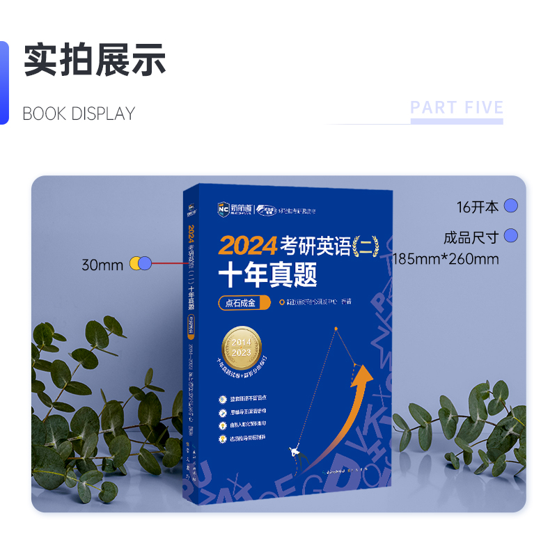 2024考研英语历年真题及详解英语二 十年真题点石成金（2014-2023）新航道胡敏蓝皮书