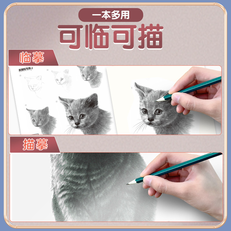 墨点美术 素描入门临摹本 零基础入门初学者临摹教材书视频教学静物花卉人物动物铅笔绘画画册美术技法小白自学绘画教程书描摹本,淘宝优惠券,粉丝福利购,淘宝优惠卷