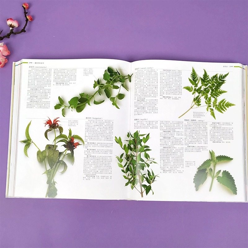 当当网 DK生活食材百科全书 营养速查 2500种原材料介绍搭配彩图 西餐厨师鱼肉蔬菜香料坚果奶酪水果 主食粮油调味品食材大全美食,淘宝优惠券,粉丝福利购,淘宝优惠卷