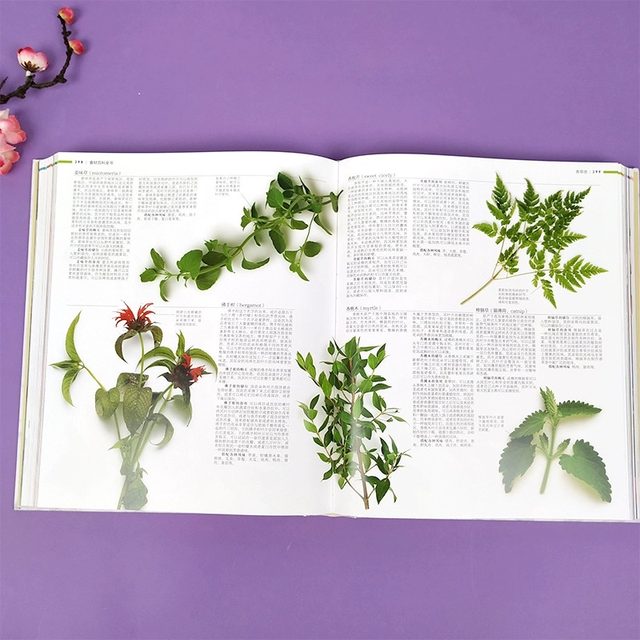 Dangdang.com DK Encyclopedia of Living Ingredients Nutrition Quick Check 2500 Raw Materials Introduction and Color Pictures Western Chefs Fish, Meat, Vegetables, Spices, Nuts, Cheese, Fruits Staple Foods, Grains, Oils, Condiments and Ingredients Complete Gourmet Food