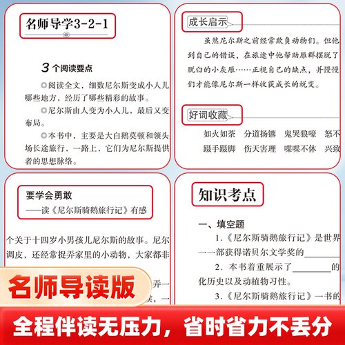 当当网正版书籍 鲁滨逊漂流记汤姆索亚历险记尼尔斯骑鹅旅行记爱丽丝漫游仙境快乐读书吧六年级下册套装共4册小学课外阅读推荐 - 图3