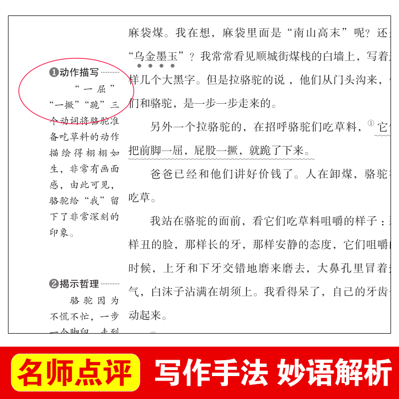 当当网城南旧事原著正版五年级必读/曹文轩推荐导读版快乐读书吧中小学生阅读课外书籍儿童正版-图1