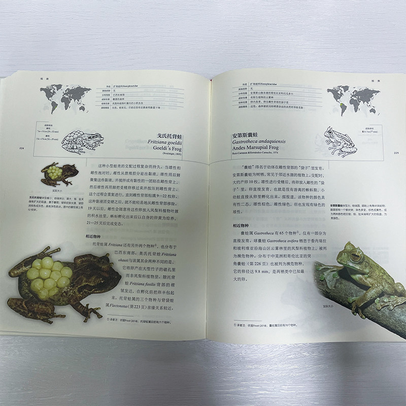 【当当网】蛙类博物馆(英)蒂姆·哈利迪 博物文库 自然博物馆丛书 蛙类学者联手巨献 600幅地理分布图 北京大学出版社 正版书籍