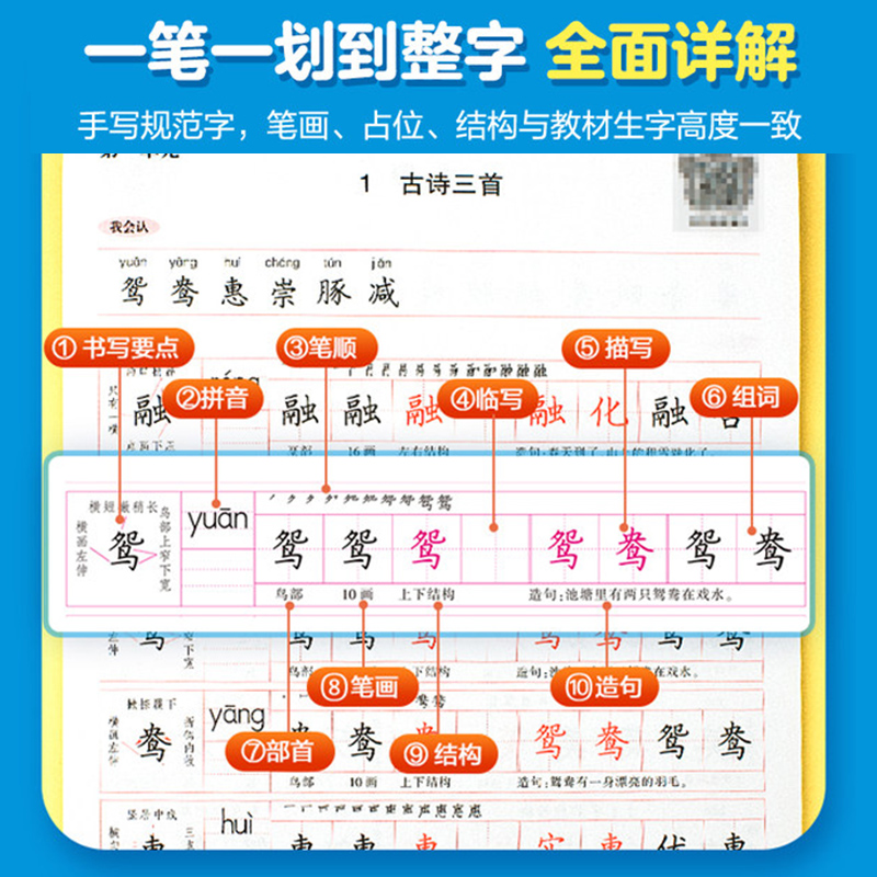 华夏万卷小学生语文同步生字练字帖RJ人教版 2022秋季每日一练天天练 三3年级上册小学生写字课课练 周培纳楷书笔顺笔画字帖(共2 - 图1