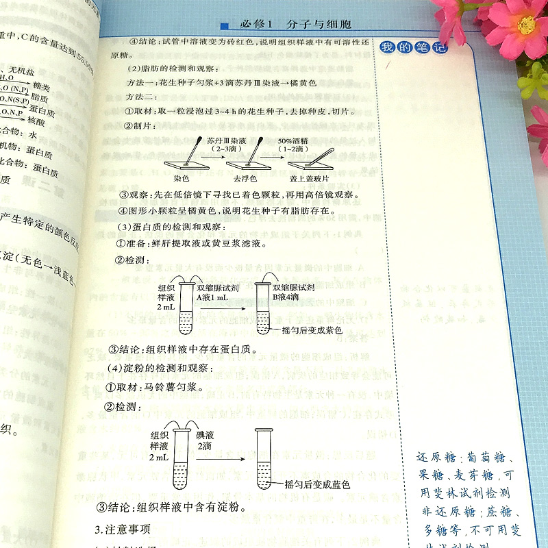 高中训练营实战笔记：生物（通用版） - 图2