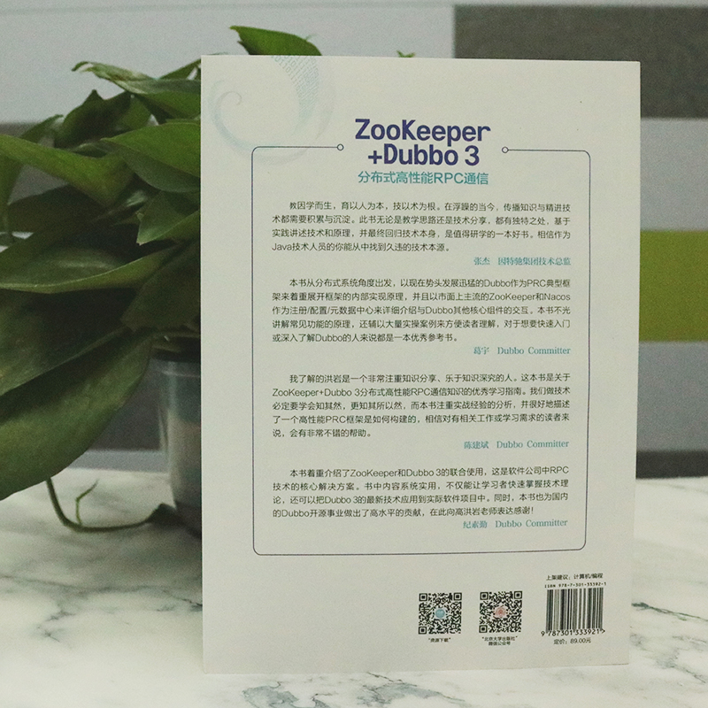 ZooKeeper+Dubbo 3分布式高性能RPC通信高洪岩著-图2