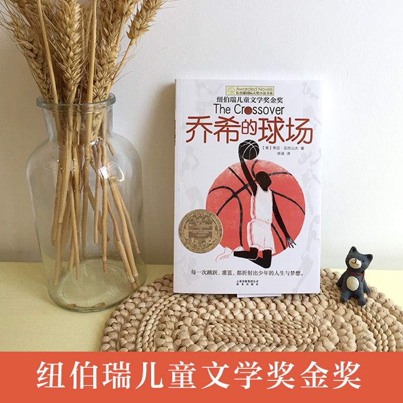 新版·长青藤国际大奖小说书系·第6辑：乔希的球场 - 图0