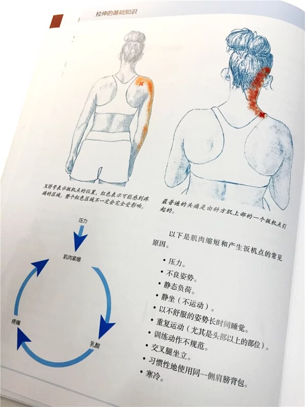 【当当网正版书籍】精准拉伸疼痛消除和损伤预防的针对性练习拉伸计划专业训练培训书运动健身书拉伸训练-图2