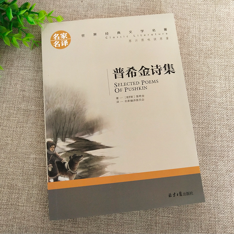 普希金诗集 中小学生课外阅读书籍世界经典文学名著青少年儿童文学读物故事书名家名译原汁原味读原著 - 图0