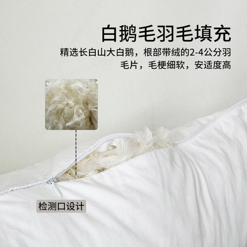 翼然100%鹅毛羽绒抱枕芯内胆鹅毛沙发靠垫芯腰靠枕芯枕芯30x50cm - 图1