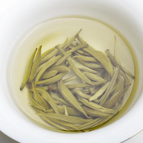 芽尖雪螺250g春季茶叶云南特级云雾绿茶2026新茶明前日照袋装绿茶 - 图1