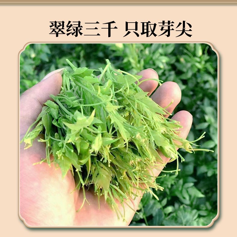 野生莓茶张家界特产土家霉茶芽尖野生龙须藤茶永顺芽尖霉茶龙须茶 - 图1