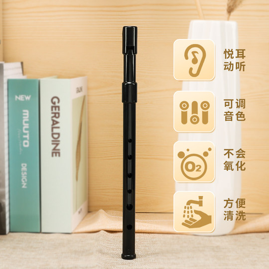 Schwinger Irish whistle recorder recorder