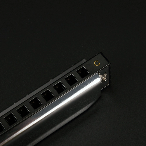 天鹅 Губная гармошка для школьников, профессиональные музыкальные инструменты для взрослых для начинающих