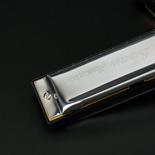 天鹅 Губная гармошка для школьников, профессиональные музыкальные инструменты для взрослых для начинающих