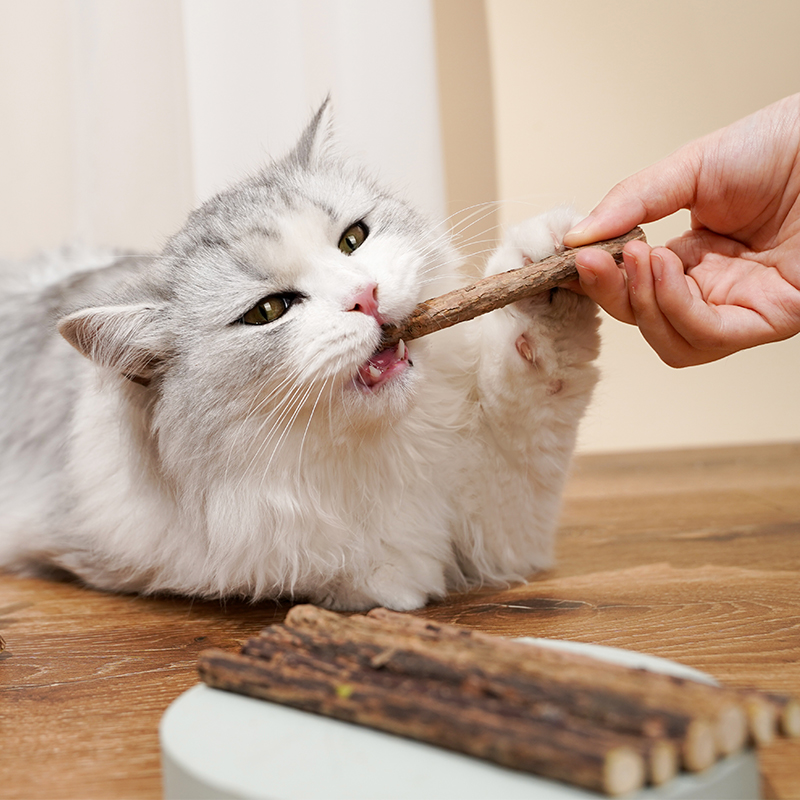 猫薄荷猫咪磨牙棒洁齿幼猫啃咬逗猫棒木天蓼奶猫小鱼干用品猫零食 - 图2