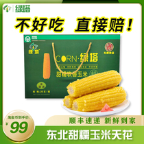 Green Tower Sweet Glutinous Soft Fragrant Corn Stick Fresh Open Bag Ready-to-eat Vacuum Packed northeast Sticky Yellow Corn Flagship Store