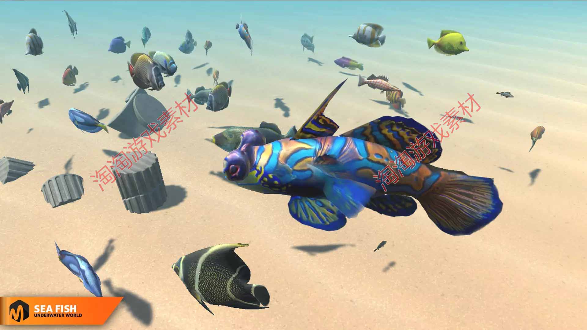 Unity3d Sea fish- underwater world 1.0海洋多种鱼动画模型-图0