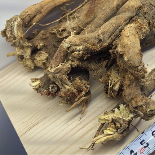 东北野生黄芪 长白山天然野生黄芪 中药材北芪整枝 可切片包邮 - 图1