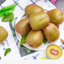 Guangxi Should Be Zic Exotic Fruits Fresh Red Hearts Chic Exotic Fruit Chic Exotic Fruit Leye County Special Produce Now 24 Loaded First-class Fruits