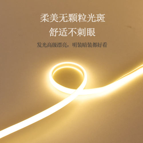 led直插灯带线条灯补光硅胶氛围照明客厅吊顶明装免开槽220V自粘 - 图0