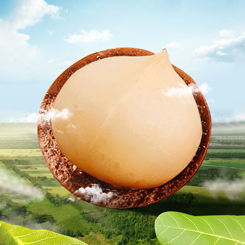 新农哥大颗粒坚果礼盒阖家团圆1210g新年团购送礼休闲零食tk