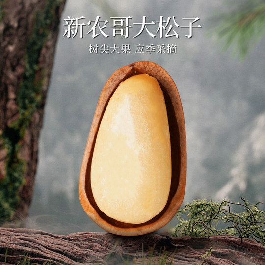 新农哥大颗粒东北松子550g*1罐装
