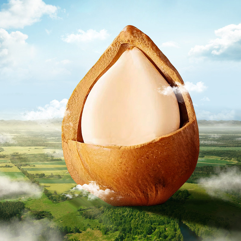 新农哥大颗粒坚果礼盒阖家团圆1210g新年团购送礼休闲零食tk