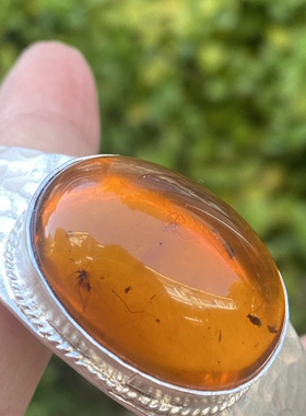 缅甸天然琥珀虫珀手镯 1亿年前形成 虫子保存完整无漏 个性手镯