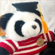 ທ່ານດຣ Panda plush doll toy Chengdu, Sichuan