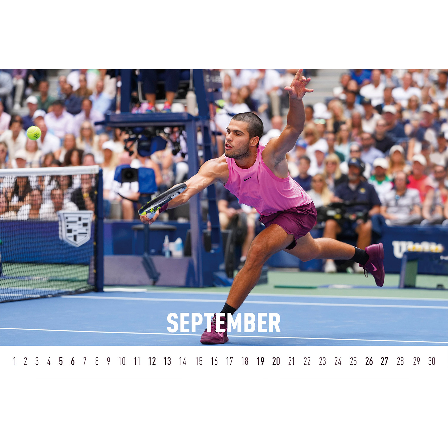 阿尔卡拉斯 2026年台历日历 蛋宝宝台历 创意生日礼物收藏 非出版,淘宝优惠券,粉丝福利购,淘宝优惠卷