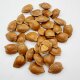 Xinjiang open apricot kernel 500g open hand peeled thin shell white almond apricot kernel almond nut roasted seeds and nuts specialty