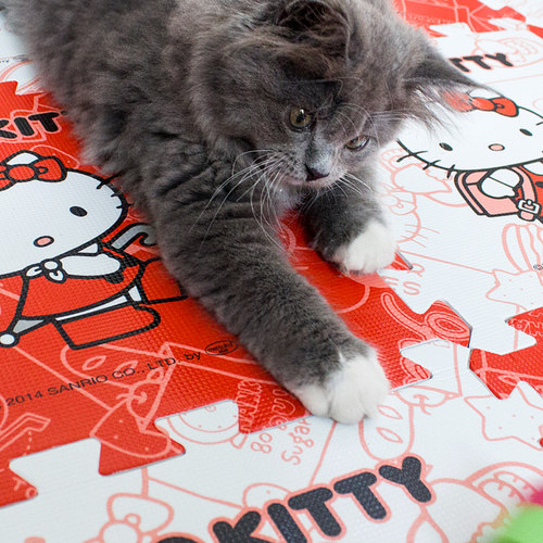 卡通环保无味拼接泡沫垫儿童爬行垫宝宝爬爬垫垫子床边垫榻榻米30 - 图1