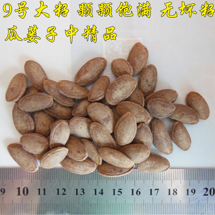 安徽天柱山特产徽姐9号瓜蒌子瓜篓子葫芦籽吊瓜子坚果250g*2包 - 图0