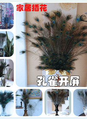 纯天然客厅插花瓶孔雀翎头饰