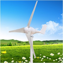 100W300w400w outdoor marine domestic wind power generator scenery complementary street lamp monitoring 12V24V