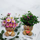 Flowering grass head doll DIY small grass man cute creative watering long grass plant lazy hydroponics