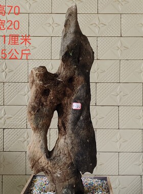 太湖石天然原石假山书房摆件庭院石头造景奇石园林景观附树石附石