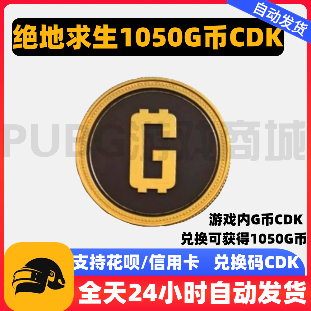 PUBGG币绝地求生G币G-COIN货币游戏币吃鸡点卷充值皮肤CDK兑换码 - 图3