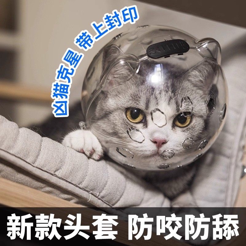 猫头套猫咪太空头罩宠物洗澡剪指甲防咬头套狗狗防舔伊丽莎白圈猫,淘宝优惠券,粉丝福利购,淘宝优惠卷
