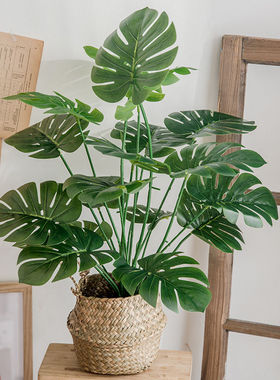 仿真绿植盆景北欧龟背假绿植盆栽客厅ins风装饰品桌面家居小摆件