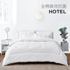 Lovefield pure cotton antibacterial fiber quilt core is breathable, comfortable and machine washable quilt, suitable for all seasons, spring and autumn quilt