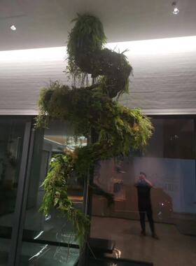 自然现代风适用家居客厅接待大厅绿植树装置复合材质落地窗处摆放