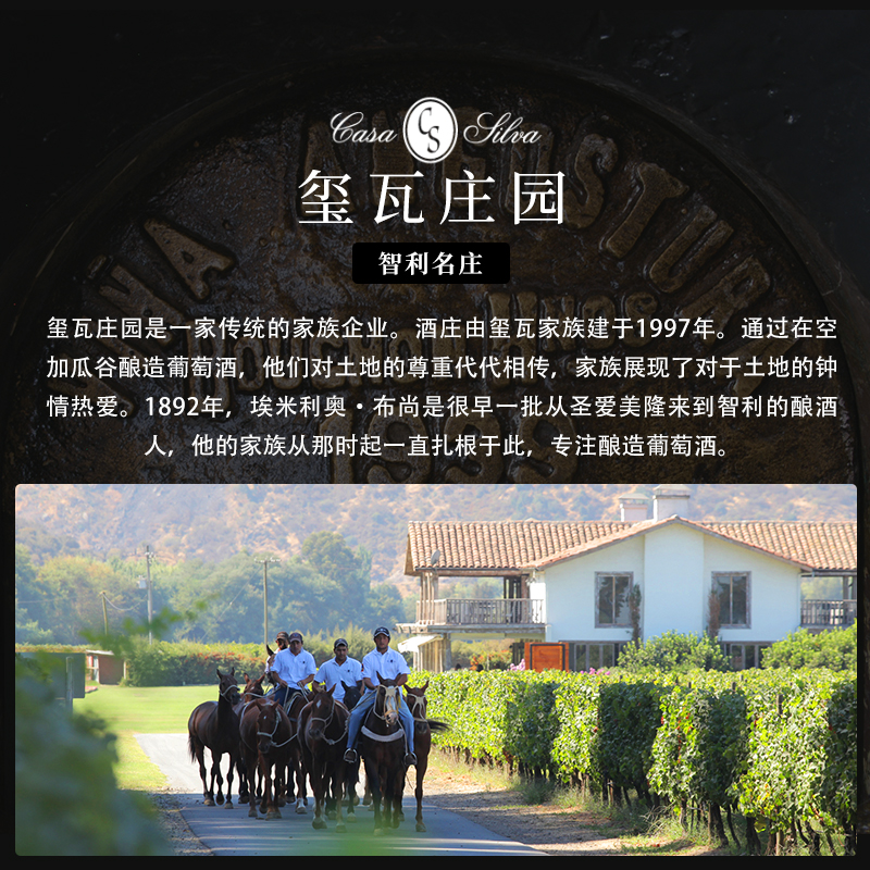 【买3送3】ASC白银玺瓦庄园家族之星梅洛干红葡萄酒进口红酒