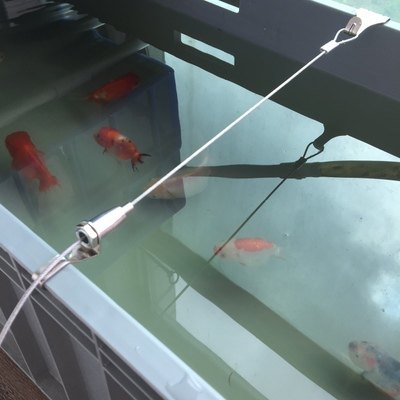 水箱养殖箱拉筋周转箱拉筋钢丝拉筋养龟养鱼箱拉筋包塑加粗钢丝绳 - 图0