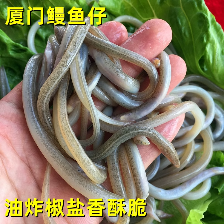 新鲜鳗鱼苗油炸鳗鱼苗椒盐鳗鱼仔厦门鳗鱼丝油筷鱼小沙鳗海鲜水产,淘宝优惠券,粉丝福利购,淘宝优惠卷