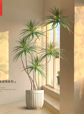 摆件家居大型室内绿植轻奢高档