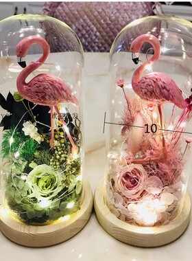 永生花玻璃罩手办桌面摆件包邮