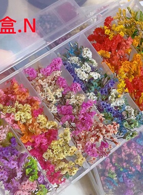 小众立体干花美甲滴胶素材